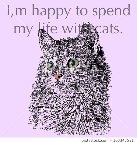 cute cat cat cute cat cat 103343551