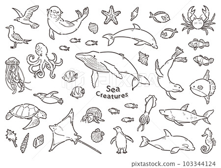 海洋生物插圖集線條圖 103344124
