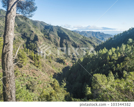 View over lush green landscape of national park Garajonay on La Gomera with village La Laja and island Tenerife with the Volcano Pico de Teide. Canary Islands, Spain. Blue sky, copy space. View over lush green landscape of national park Garajonay on La Gomera with village La Laja and island Tenerife with the Volcano Pico de Teide. Canary Islands, Spain. Blue sky, copy space. 103344382