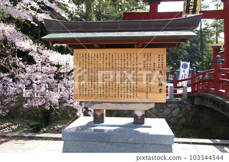 Kehi Jingu Kehi Jingu Tsuruga City Tsuruga Fukui Prefecture Kanpei Taisha Sakura Spring Otorii 103344544