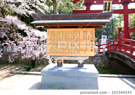 Kehi Jingu Kehi Jingu Tsuruga City Tsuruga Fukui Prefecture Kanpei Taisha Sakura Spring Otorii 103344545