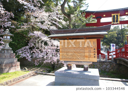 Kehi Jingu Kehi Jingu Tsuruga City Tsuruga Fukui Prefecture Kanpei Taisha Sakura Spring Otorii 103344546