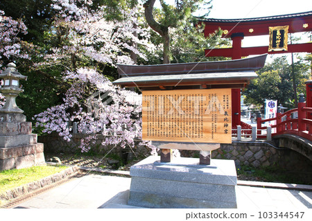 Kehi Jingu Kehi Jingu Tsuruga City Tsuruga Fukui Prefecture Kanpei Taisha Sakura Spring Otorii 103344547