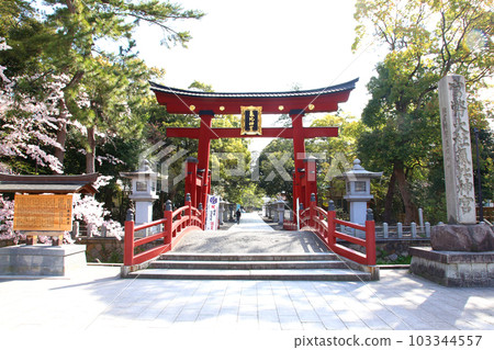 Kehi Jingu Kehi Jingu Tsuruga City Tsuruga Fukui Prefecture Kanpei Taisha Sakura Spring Otorii 103344557