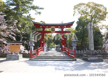 Kehi Jingu Kehi Jingu Tsuruga City Tsuruga Fukui Prefecture Kanpei Taisha Sakura Spring Otorii 103344560