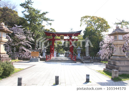 Kehi Jingu Kehi Jingu Tsuruga City Tsuruga Fukui Prefecture Kanpei Taisha Sakura Spring Otorii 103344570