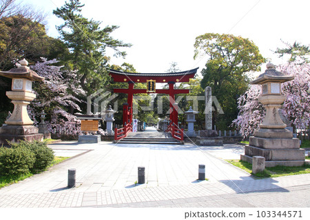 Kehi Jingu Kehi Jingu Tsuruga City Tsuruga Fukui Prefecture Kanpei Taisha Sakura Spring Otorii 103344571
