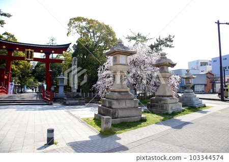 Kehi Jingu Kehi Jingu Tsuruga City Tsuruga Fukui Prefecture Kanpei Taisha Sakura Spring Otorii Kehi Jingu Kehi Jingu Tsuruga City Tsuruga Fukui Prefecture Kanpei Taisha Sakura Spring Otorii 103344574
