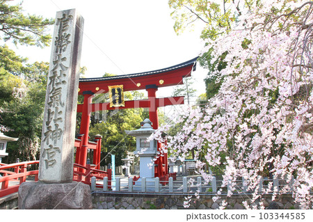Kehi Jingu Kehi Jingu Tsuruga City Tsuruga Fukui Prefecture Kanpei Taisha Sakura Spring Otorii Kehi Jingu Kehi Jingu Tsuruga City Tsuruga Fukui Prefecture Kanpei Taisha Sakura Spring Otorii 103344585