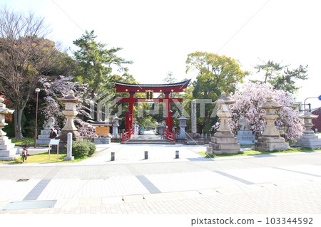 Kehi Jingu Kehi Jingu Tsuruga City Tsuruga Fukui Prefecture Kanpei Taisha Sakura Spring Otorii Kehi Jingu Kehi Jingu Tsuruga City Tsuruga Fukui Prefecture Kanpei Taisha Sakura Spring Otorii 103344592