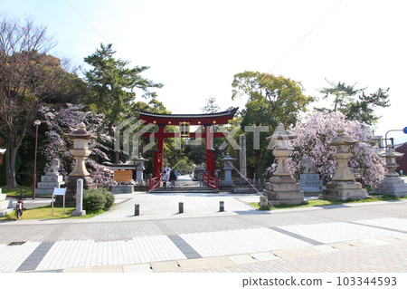 Kehi Jingu Kehi Jingu Tsuruga City Tsuruga Fukui Prefecture Kanpei Taisha Sakura Spring Otorii Kehi Jingu Kehi Jingu Tsuruga City Tsuruga Fukui Prefecture Kanpei Taisha Sakura Spring Otorii 103344593