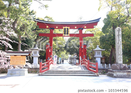 Kehi Jingu Kehi Jingu Tsuruga City Tsuruga Fukui Prefecture Kanpei Taisha Sakura Spring Otorii Kehi Jingu Kehi Jingu Tsuruga City Tsuruga Fukui Prefecture Kanpei Taisha Sakura Spring Otorii 103344596