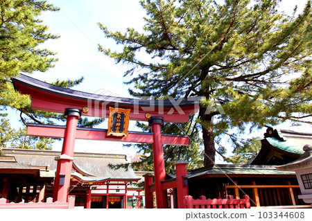 Kehi Jingu Kehi Jingu Tsuruga City Tsuruga Fukui Prefecture Kanpei Taisha Sakura Spring Otorii 103344608