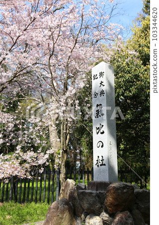Kehi Jingu Kehi Jingu Tsuruga City Tsuruga Fukui Prefecture Kanpei Taisha Sakura Spring Otorii Kehi Jingu Kehi Jingu Tsuruga City Tsuruga Fukui Prefecture Kanpei Taisha Sakura Spring Otorii 103344620
