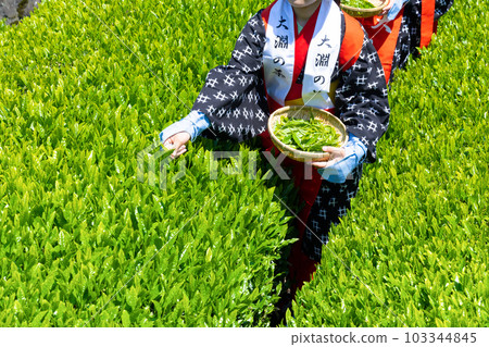 靜岡縣富士市台場的茶園 103344845