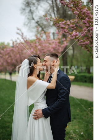 newlyweds walk in the park among cherry blossoms newlyweds walk in the park among cherry blossoms 103345175