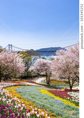 山口縣下關市山公園土耳其鬱金香花園 103345252