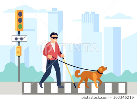 Blind man with guide dog crosses road at traffic light with sign for blind. Pet leading handicapped male character, animal companion for disabled. Cartoon flat isolated vector concept 103346219