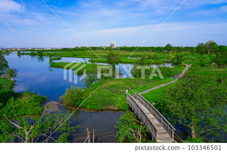Waterside of Fukushima lagoon on a sunny spring morning (Niigata City, Niigata Prefecture) 103346501
