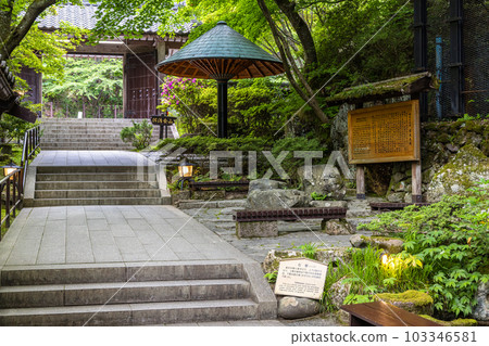 [新潟縣/佐渡金山]若葉礦山周邊 5月 103346581