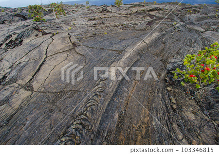 在火山口路，夏威夷大島旁邊的熔岩高原 103346815