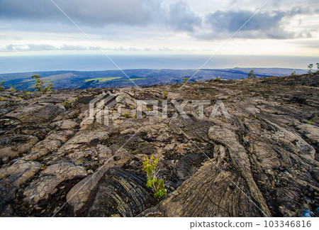 從夏威夷大島火山口路旁的熔岩高原看海 103346816