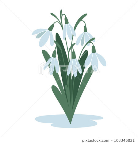 Bouquet of snowdrops, first spring flowers, cartoon style. Trendy modern vector illustration isolated on white background, hand drawn, flat Bouquet of snowdrops, first spring flowers, cartoon style. Trendy modern vector illustration isolated on white background, hand drawn, flat 103346821