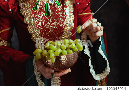 Closeup on medieval queen in red dress with plate of grapes Closeup on medieval queen in red dress with plate of grapes 103347024