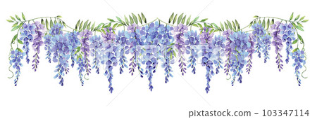 Wisteria purple flower watercolor long border isolated on white background 103347114