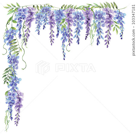 Wisteria blue and purple flower watercolor frame border element isolated on white background 103347181