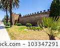 Street in the old town of Mallorca, Alcudia 103347291