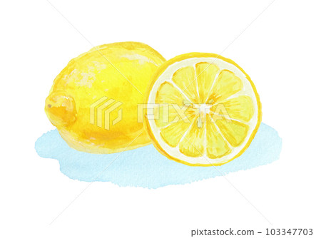 用水彩畫的逼真的檸檬插圖 用水彩畫的逼真的檸檬插圖 103347703