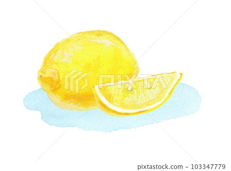 Realistic lemon illustration painted with watercolors 103347779