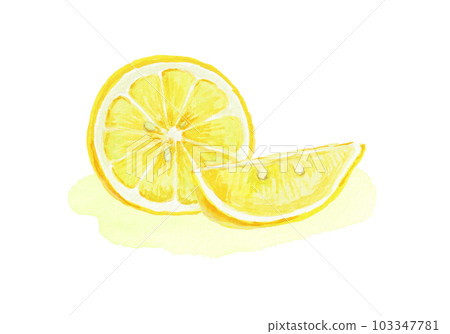 用水彩畫的逼真的檸檬插圖 103347781