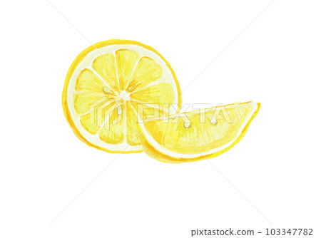用水彩畫的逼真的檸檬插圖 103347782