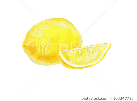 Realistic lemon illustration painted with watercolors 103347783