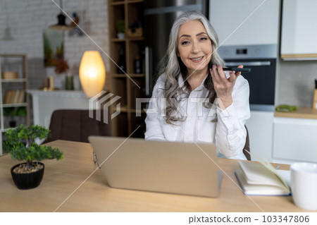 Smiling positive senior woman at the laptop listening to webinar 103347806