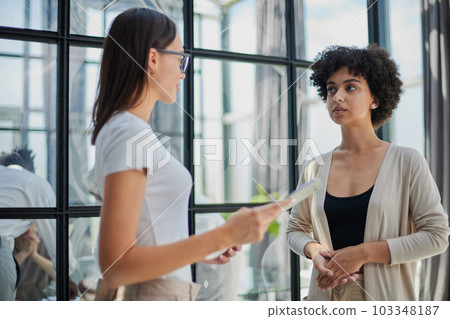 Two Businesswomen Shaking Hands In Modern Office 103348187