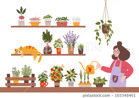Woman watering plants at her kitchen garden, cartoon style. Herbs, vegetables and Microgreens, Indoor gardening hobby. Cozy activity. Trendy modern isolated vector illustration, hand drawn, flat Woman watering plants at her kitchen garden, cartoon style. Herbs, vegetables and Microgreens, Indoor gardening hobby. Cozy activity. Trendy modern isolated vector illustration, hand drawn, flat 103348401