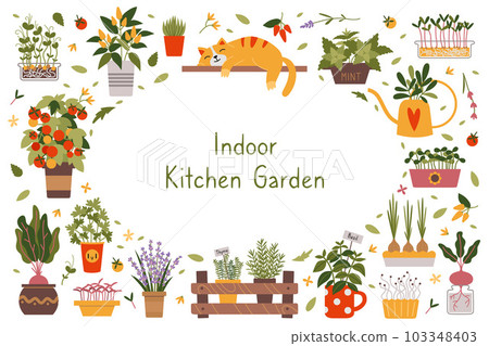 Indoor kitchen garden set, cartoon style. Herbs, vegetables and Microgreens in a pots. Urban home gardening hobby, Cozy activity. Trendy modern isolated vector illustration, hand drawn, flat 103348403