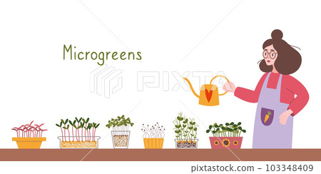Woman watering Microgreens at her Indoor kitchen garden, cartoon style. Cozy activity, gardening hobby. Trendy modern isolated vector illustration, hand drawn, flat Woman watering Microgreens at her Indoor kitchen garden, cartoon style. Cozy activity, gardening hobby. Trendy modern isolated vector illustration, hand drawn, flat 103348409