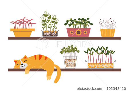 A cute cat is sleeping on a shelf next to a home kitchen garden, Microgreens in containers. Urban Cozy home gardening hobby. Trendy modern isolated vector illustration, hand drawn, flat A cute cat is sleeping on a shelf next to a home kitchen garden, Microgreens in containers. Urban Cozy home gardening hobby. Trendy modern isolated vector illustration, hand drawn, flat 103348410