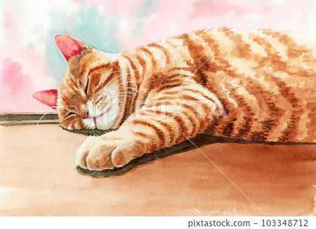 睡在模擬水彩地板上的貓 103348712