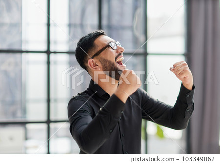 Portrait of a cheerful businessman celebrating his success 103349062