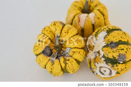 Rotten pumpkins on white background has dark spots and less fiber. unhealthy and has bacteria which is dangerous. Mold on food concept. Rotten pumpkins on white background has dark spots and less fiber. unhealthy and has bacteria which is dangerous. Mold on food concept. 103349159