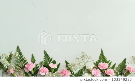 Top view, flat lay pink carnation and fern leaves on white background with space foe your text Top view, flat lay pink carnation and fern leaves on white background with space foe your text 103349253