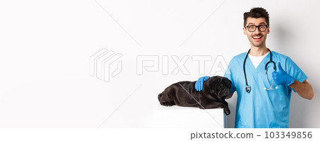 Happy male doctor veterinarian examining cute black dog pug, showing thumb up in approval, satisfied with animal health, standing over white background Happy male doctor veterinarian examining cute black dog pug, showing thumb up in approval, satisfied with animal health, standing over white background 103349856