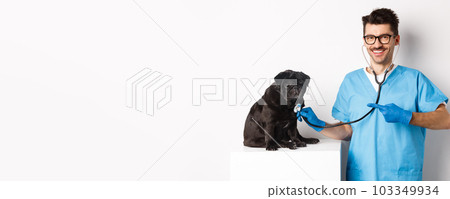 Handsome veterinarian at vet clinic examining cute black pug dog, pointing finger at pet during check-up with stethoscope, white background 103349934