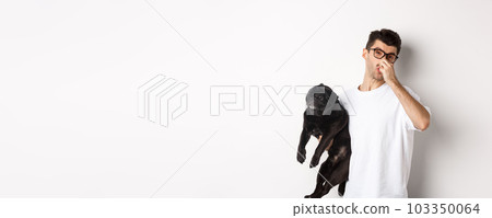 Young man shut nose as holding pug, disgusted with bad smell fart of animal, standing over white background Young man shut nose as holding pug, disgusted with bad smell fart of animal, standing over white background 103350064