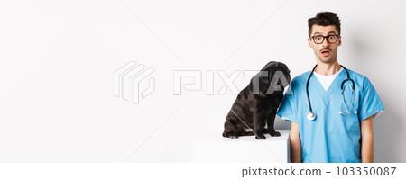 Handsome doctor veterinarian staring at camera surprised, small black dog pug sitting and waiting for examination in vet clinic, white background Handsome doctor veterinarian staring at camera surprised, small black dog pug sitting and waiting for examination in vet clinic, white background 103350087